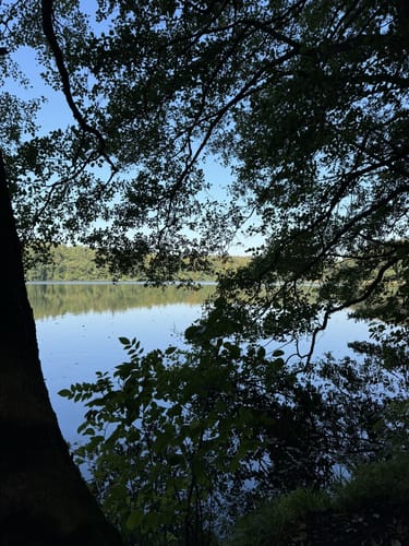 Rundweg Kleiner Schierensee