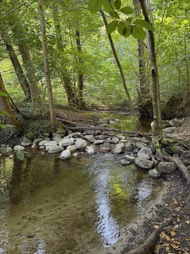 Rundweg Kleiner Schierensee