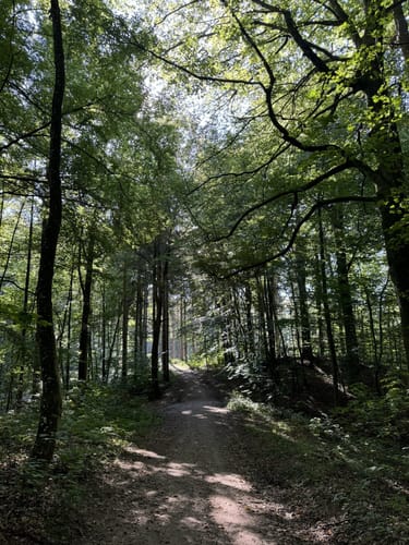 Rundweg Kleiner Schierensee