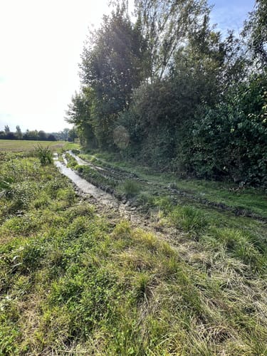 Selztal-Terroir-Route 1