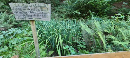 Schriesheimertal, Rippenweier und Ursenbach