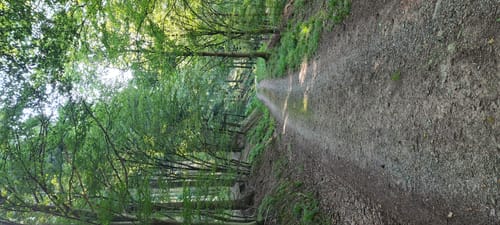 Schriesheimertal, Rippenweier und Ursenbach