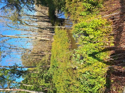 Drei-Seen-Tour Freiensteinau (Premiumwanderweg)