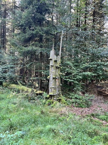 Großenbach - Benfe - Nenkersdorf