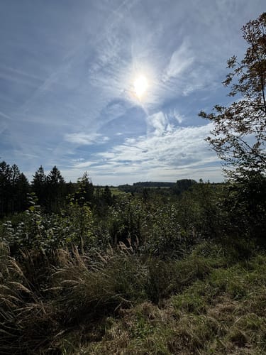 Biberpfad im Hürtgenwald