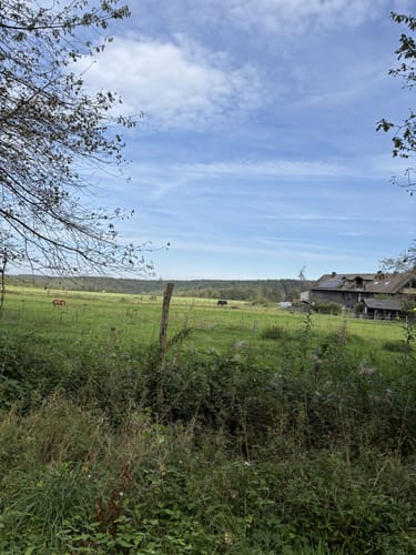 Biberpfad im Hürtgenwald