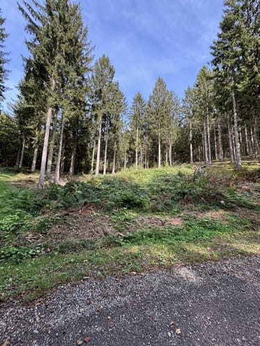 Biberpfad im Hürtgenwald