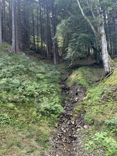 Fallmühle - Schwarzwandweg - Tiroler Stadl
