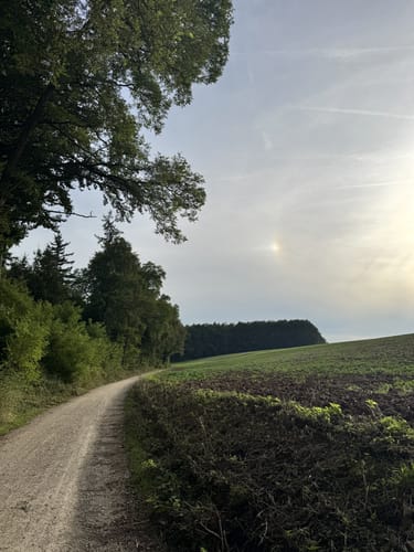 Aus Gaustadt in den Michelsberger Wald
