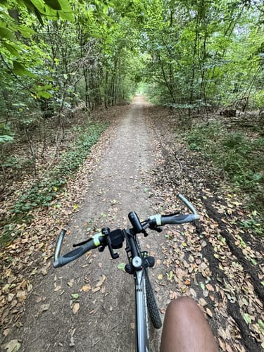 Aus Gaustadt in den Michelsberger Wald