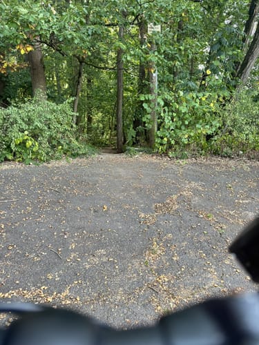 Aus Gaustadt in den Michelsberger Wald