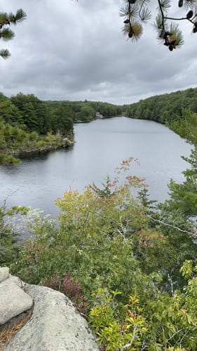 Long pond woods trail hotsell