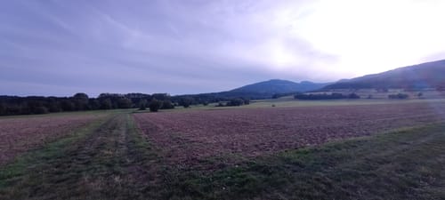 Frankenhäuser Karst P2 (Premiumwanderweg)