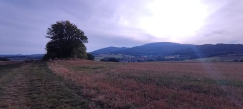 Frankenhäuser Karst P2 (Premiumwanderweg)