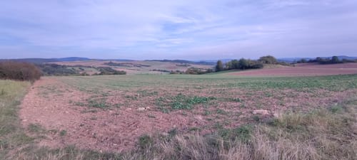 Frankenhäuser Karst P2 (Premiumwanderweg)