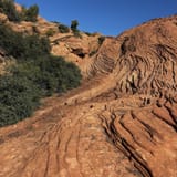 Butterfly, Lava Flow Overlook, West Canyon, and Petrified Dunes Loop ...
