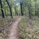 Scotts Gap Loop Trail, Kentucky - 1,030 Reviews, Map | AllTrails