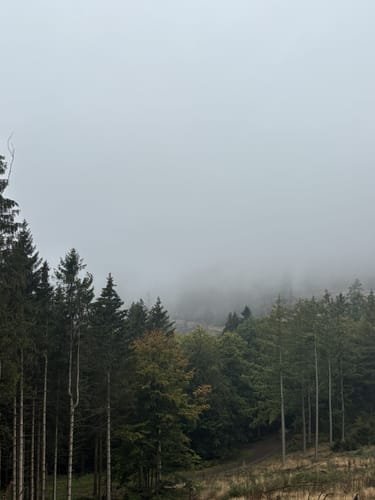 Kindelsbergpfad (Kreuztal, Kredenbach)