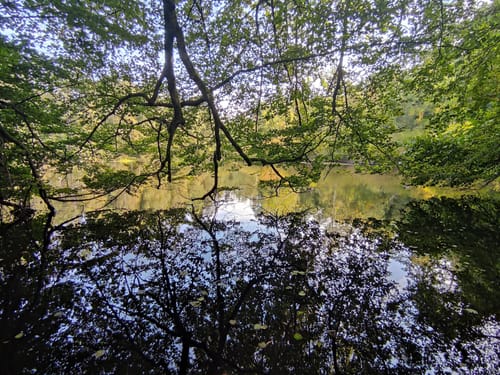 Ums Wiesbüttmoor und den Wiesbüttsee