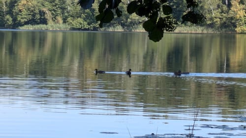 Westlich des Bötzsees