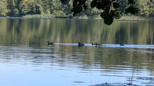 Westlich des Bötzsees