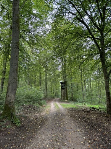 Wanderweg Kordel 1