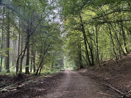 Wanderweg Kordel 1