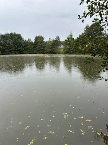 Oldinghausen - Ebmeiers Teiche - Asbeketal