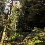 Sunset Ridge and Long Trail Loop, Vermont - 1,489 Reviews, Map | AllTrails