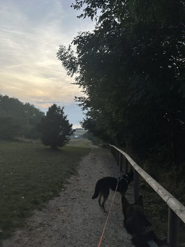 Halbinsel Klein Zicker (Rügen)