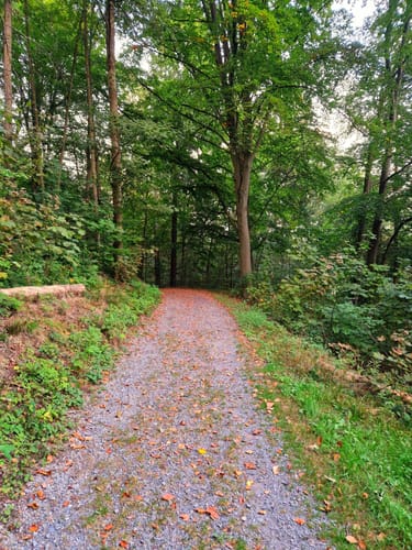 Rundwanderweg Heissiwald A2: Mittlerer Rundweg