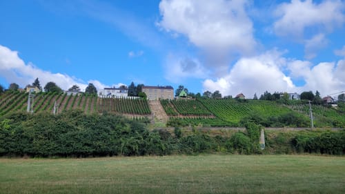 Bad Dürrenberg - Naumburg via Saale