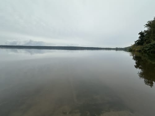 Am Muldestausee