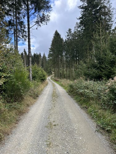 Meinkenbracht-Homert