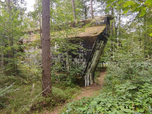 Rundwanderweg Schondraberg: Blauer Pilz