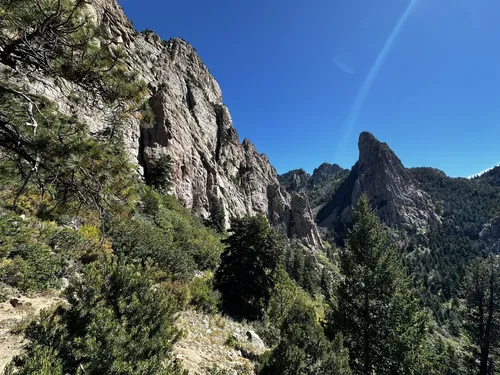 Lサイズ DOMINGO PT-1 ROUND MOUNTAIN PARK Rockhopper Sport 29