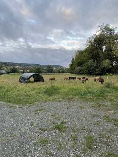 Entlang der Saale