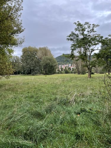 Entlang der Saale