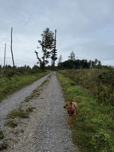 Rundwanderweg A4 (Willebadessen)
