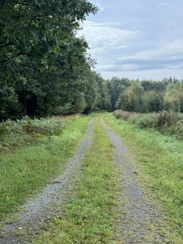 Rundwanderweg A4 (Willebadessen)