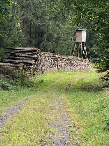 Rundwanderweg A4 (Willebadessen)