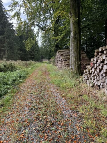 Rundwanderweg A4 (Willebadessen)