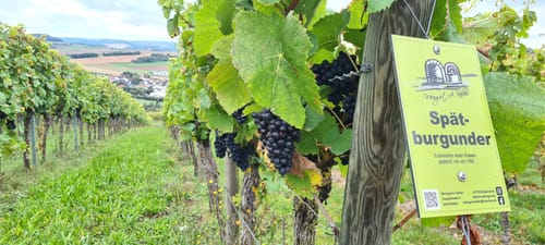 Wanderweg Nr. 05 Eußenheim Geberstal