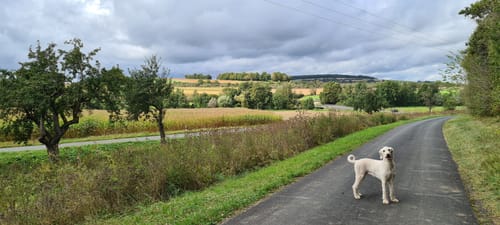 Wanderweg Nr. 05 Eußenheim Geberstal