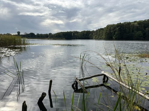 Rund um das Naturschutzgebiet Bagower Bruch