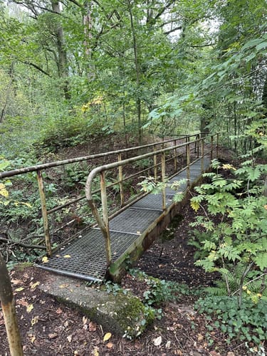 Rund um das Naturschutzgebiet Bagower Bruch