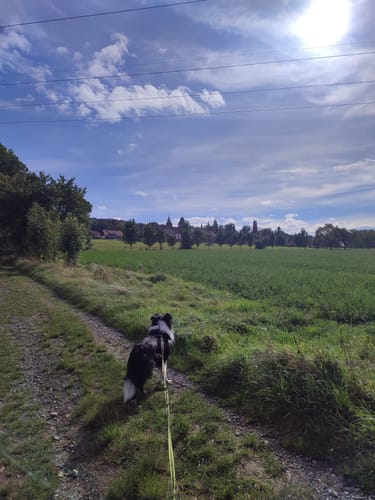 Ernst Nied Weg - Cottaer Spitzberg