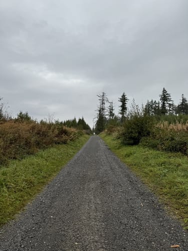 Rundwanderweg A4 (Willebadessen)