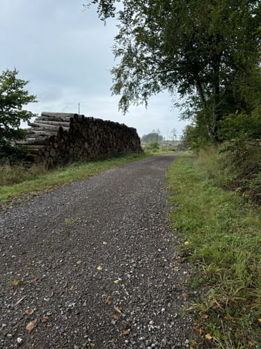 Rundwanderweg A4 (Willebadessen)