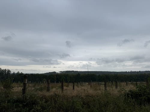 Rundwanderweg A4 (Willebadessen)